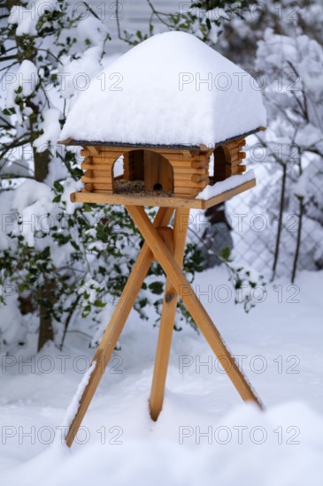 Snowy birdhouse, in winter, Stuttgart, Baden-Württemberg, Germany