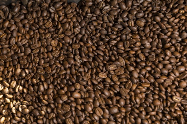 Coffee is roasted by hand in a small drum roaster with lots of experience, where the hot freshly roasted coffee beans cool down using air in a sieve, Kaffeerösterei Müller, Wildenhain, Großenhain, Saxony, Germany