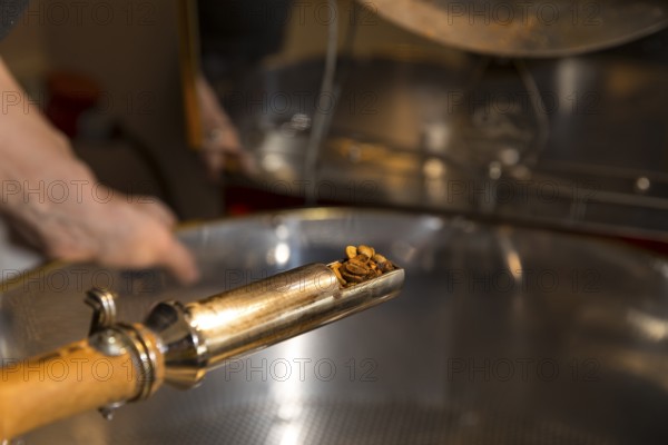 Coffee is roasted by hand in a small drum roasting machine with a lot of experience, Mrs. Müller checking the degree of roasting, Kaffeerösterei Müller, Wildenhain, Großenhain, Saxony, Germany