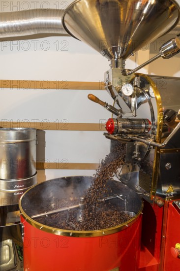 Coffee is roasted by hand in a small drum roasting machine with a lot of experience, where the finished hot coffee beans are just being poured out to cool in a sieve, Kaffeerösterei Müller, Wildenhain, Großenhain, Saxony, Germany