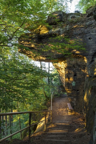 Baptism stone on Bernhardstein in the morning, Saxon Switzerland, Saxony, Germany
