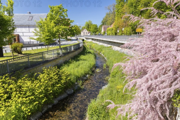 The Seidewitz flows through Zuschendorf, Pirna, Saxony, Germany