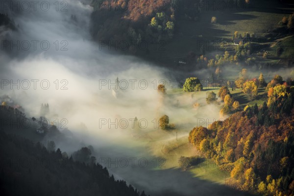 Autumn-colored forest, Wiesental, Black Forest, Baden-Württemberg, Germany