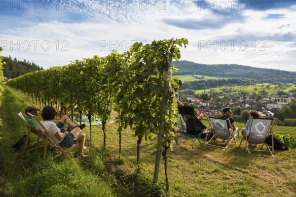 Wine tasting in the vineyards, Freiburg im Breisgau, Black Forest, Baden-Württemberg, Germany