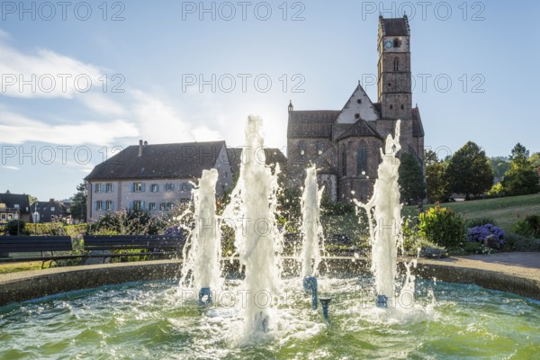 Monastery and monastery church, Alpirsbach, Northern Black Forest, Black Forest, Baden-Württemberg, Germany