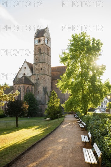 Monastery and monastery church, Alpirsbach, Northern Black Forest, Black Forest, Baden-Württemberg, Germany