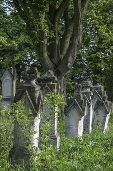 German cemetery of the former German community of Dornfeld, 1738-1918, today Ternopillya, Ukraine