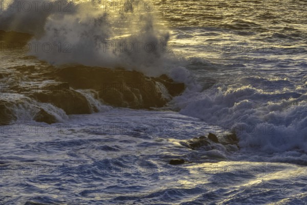 Thundering waves hit a rocky coast illuminated by soft sunlight during sunset, Playa Blanca/Yaiza Lanzarote
