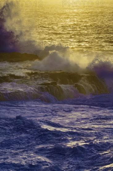 Dusk at sea with big waves and a golden horizon, purple colored ocean, Playa Blanca/Yaiza Lanzarote