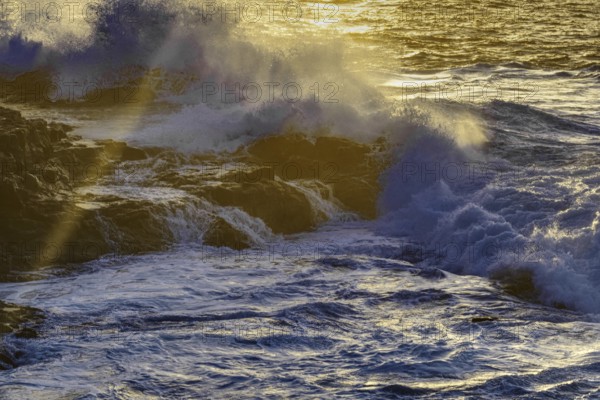 Waves break against rocks in golden sunlight, the spray is illuminated, Playa Blanca/Yaiza Lanzarote