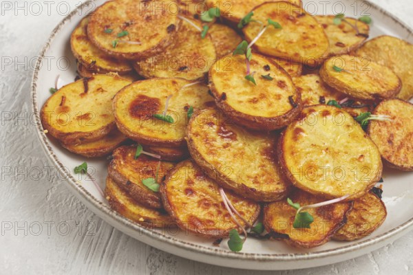 Crispy potato slices, with parmesan cheese and spices, fried in the oven, homemade, no people