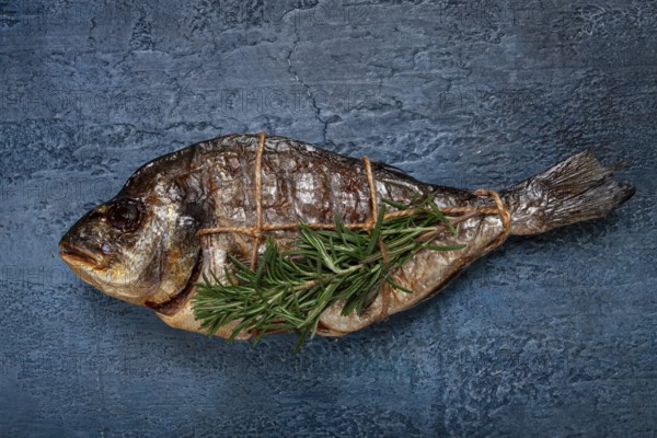 Dorado fish, hot smoked, with a sprig of rosemary, tied with a rope, on a blue background, top view, smoked fish, close-up, no people