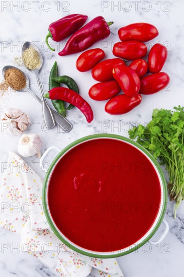 Georgian Satsebeli sauce, made from tomatoes and sweet peppers, with spices, homemade, no people