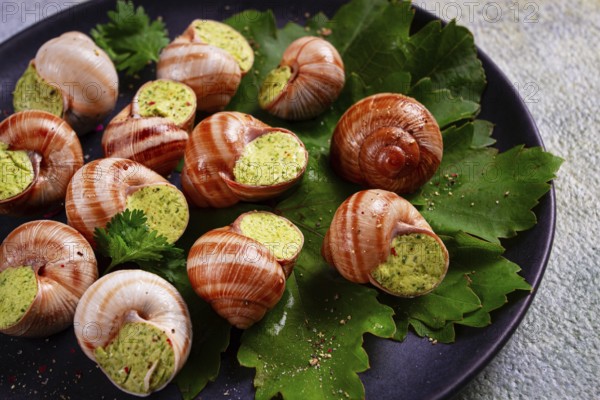 Grape snails, stuffed in burgundy, french cuisine