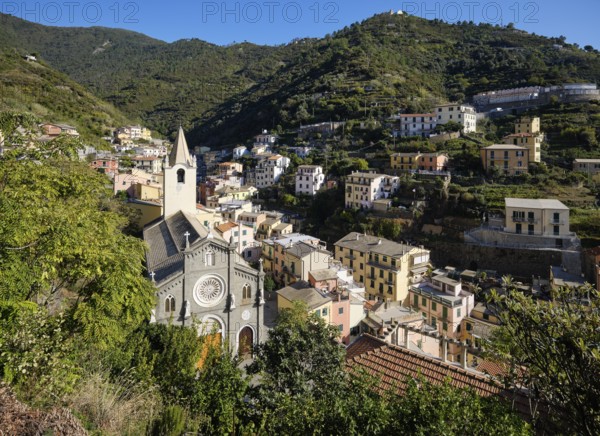 View of picturesque village of Riomaggiore with church and colorful houses in a green, hilly landscape, Cinque Terre, La Spezia province, Liguria, Italy