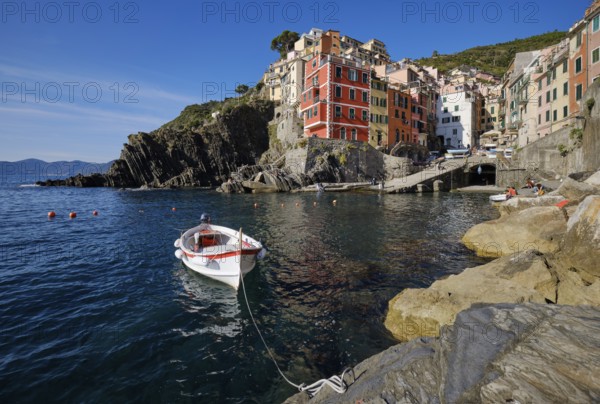 White boat, colorful houses under blue sky, view of the fishing village of Riomaggiore, port, Cinque Terre, La Spezia province, Liguria, Italy