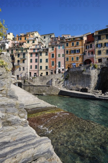 Colourful houses along a rocky coast with clear sea water under blue sky, fishing village of Riomaggiore, town view, Cinque Terre, La Spezia province, Liguria, Italy