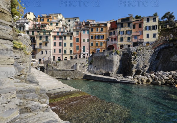 Colourful houses along a rocky coast with clear sea water under blue sky, fishing village of Riomaggiore, town view, Cinque Terre, La Spezia province, Liguria, Italy