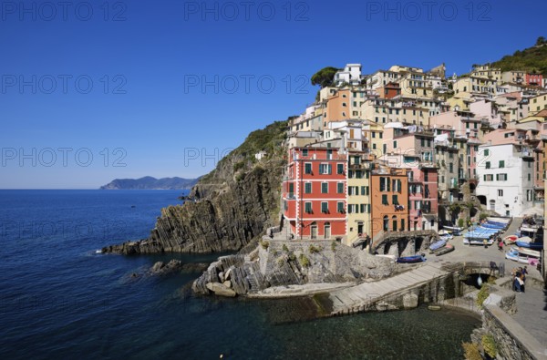 Colourful houses under blue sky, view of the fishing village of Riomaggiore, port, Cinque Terre, La Spezia province, Liguria, Italy