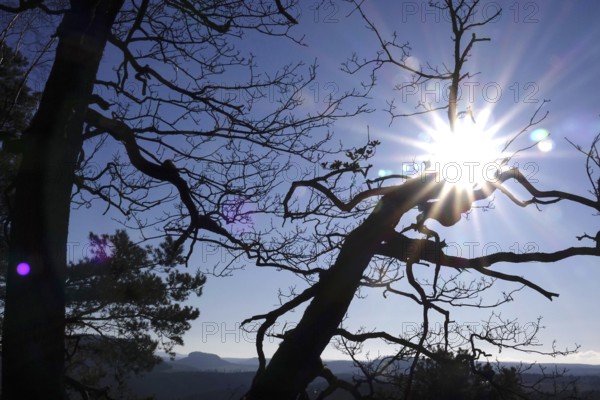 Elbe Sandstone Mountains, bastion area, winter, Saxony, Germany