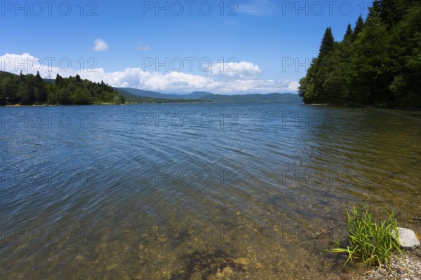 Calm lake with clear water surrounded by trees under a blue sky with clouds, Shaori Reservoir, Racha region, Georgia