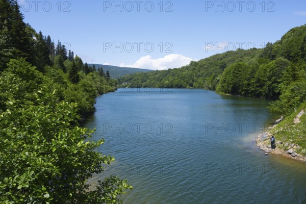 Tranquil river surrounded by thick green forests under clear blue sky, Shaori Reservoir, Racha region, Georgia