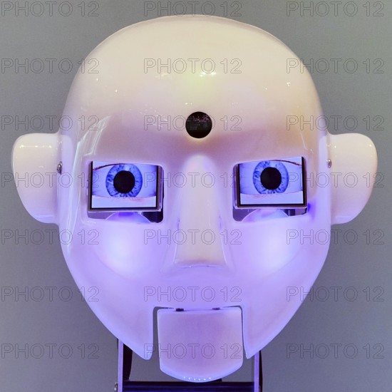 Humanoid robot head, artificial intelligence, Germany