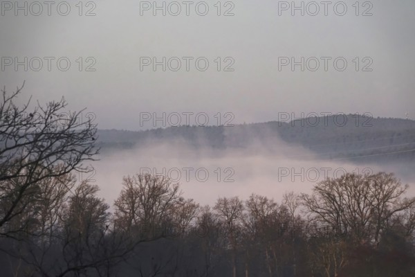 Morning fog in winter, landscape with trees, Germany