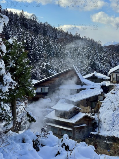 Snowy wooden houses in a wooded area with smoke rising under clear blue sky, winter, snow, Jigokudani Yaen Koen, Snow Monkey Park, Japanese macaques, Yamanochi, Nagano, Japan