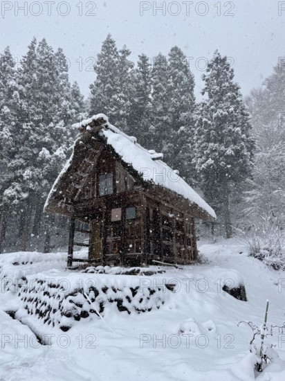 Lonely snowy wooden hut on the edge of a forest on a hill in winter, blowing snow, winter, Shirakawa, Gifu, Japan