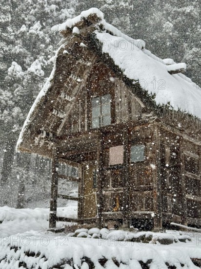 Small wooden hut covered with snow surrounded by a thick forest, blowing snow, winter scenery, Shirakawa, Gifu, Japan