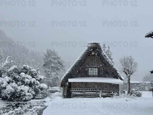 Snowy hut with gable roof surrounded by trees and snow, blowing snow, winter, Shirakawa, Gifu, Japan