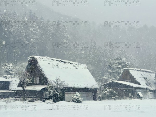Snowy huts in a quiet winter landscape with forest in the background, blowing snow, winter, Shirakawa, Gifu, Japan