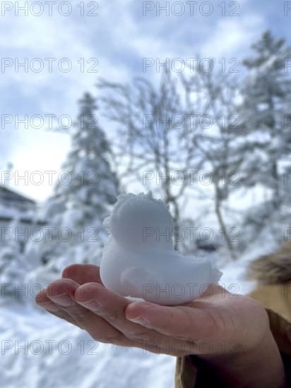 A hand presents a duck shaped snow sculpture in front of snowy trees and sky, winter, snow, Chubu Sangaku National Park, Takayama, Gifu, Japan