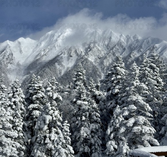 Snow-covered fir trees against majestic mountains, partly covered by clouds, in a winter landscape, winter, snow, Chubu Sangaku National Park, Takayama, Gifu, Japan