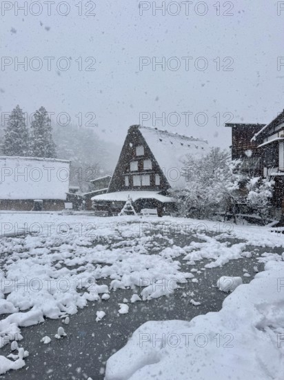 A snow-covered village with traditionally designed houses and heavy snowfall, winter, snow, Shirakawa, Gifu, Japan