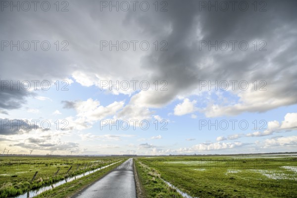 A long road leads through the wetland landscape of the ox bog, under a cloudy sky, Dümmer nature park Park, Lower Saxony, Germany