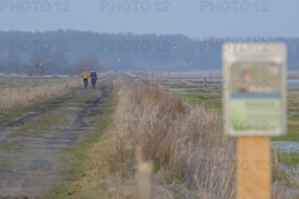 Two people ignore a protected area sign and walk along a blocked dirt road, surrounded by nature in soft colors, Dümmer nature park Park, Lower Saxony, Germany