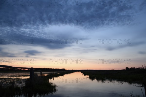 A peaceful sunset is reflected in the quiet edge channel in Ochsenmoor under a blue sky, Dümmer nature park Park, Lower Saxony, Germany