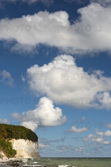 View of chalk cliffs in Jasmund National Park on Rügen, Sassnitz, Rügen, Mecklenburg-Western Pomerania, Germany
