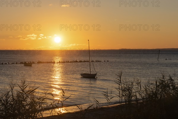 Sunset with boat on the lagoon near Gager on Rügen, Rügen, Gager, Mecklenburg-Western Pomerania, Germany