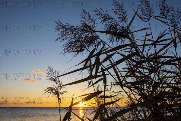 Sunset on the lagoon near Gager on Rügen, Rügen, Gager, Mecklenburg-Western Pomerania, Germany