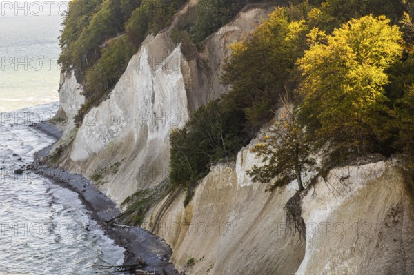 View of chalk cliffs in Jasmund National Park on Rügen, Wissower Klinken, Sassnitz, Rügen, Mecklenburg-Western Pomerania, Germany