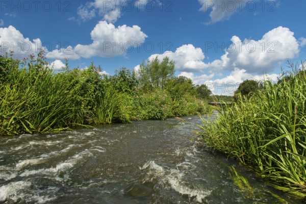 Fish ladder in the Hunte near Goldenstedt, Oldenburger Münsterland, Goldenstedt, Lower Saxony, Germany