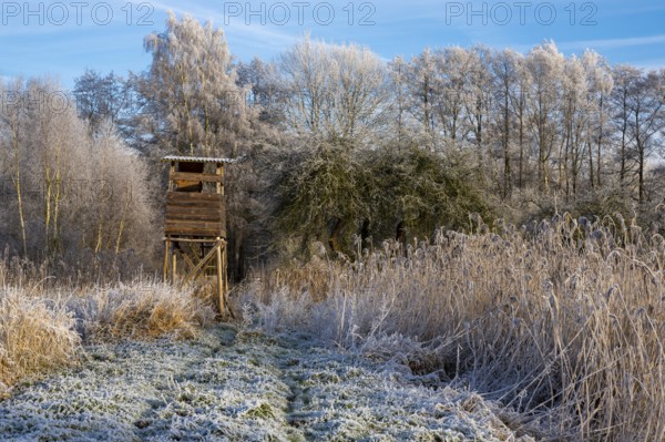 Winter hoarfrost at Ahlhorn fish ponds, Ahlhorn fish ponds, Ahlhorn, Lower Saxony, Germany