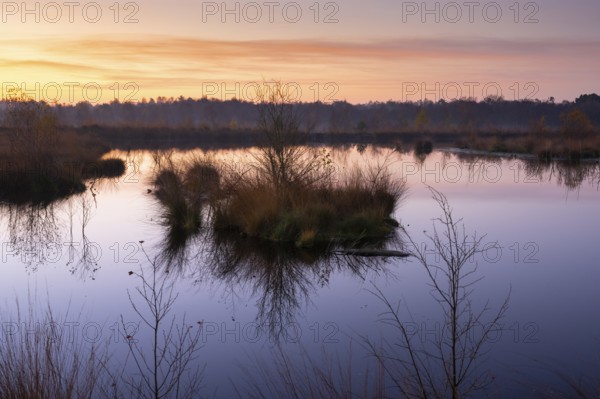 Daybreak in the Molberger Dose, Hochmoor, Molbergen, Lower Saxony, Germany