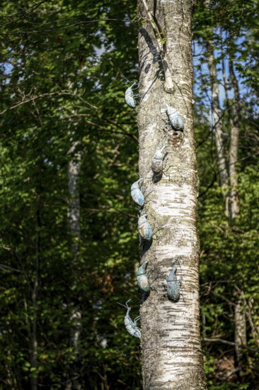 Several insect sculptures crawl up the trunk of a tree under a clear sky at the birthplace of botanist and founder of the binary nomenclature Carl von Linné, Linnés Råshult, Älmhult, Kronobergs län, Småland, Sweden