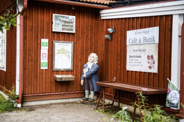 Wooden statue of botanist and founder of binary nomenclature Carl von Linné with white hair and blue jacket in front of a wooden wall at the cafe, Linnés Råshult, Älmhult, Kronobergs län, Småland, Sweden