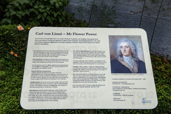 Information board about Carl von Linné with historical portrait and texts, information sign about Carl von Linné with biographical details and portrait in a garden, Gothenburg, Sweden