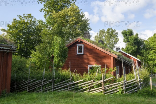 Birthplace of botanist and founder of the binary nomenclature Carl von Linne with white hair and blue jacket in front of a wooden wall, Linnés Råshult, Älmhult, Kronobergs län, Småland, Sweden